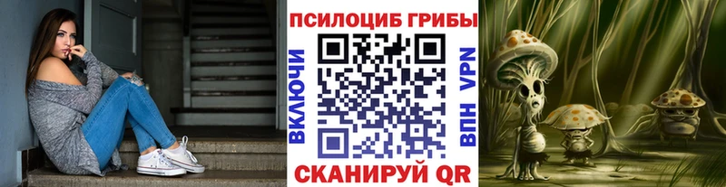 Купить  Чегем  Псилоцибиновые грибы мухоморы 